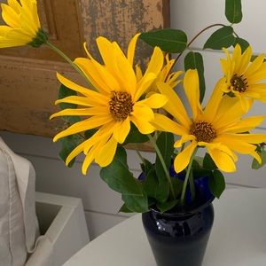 Meet your Posher, Molly